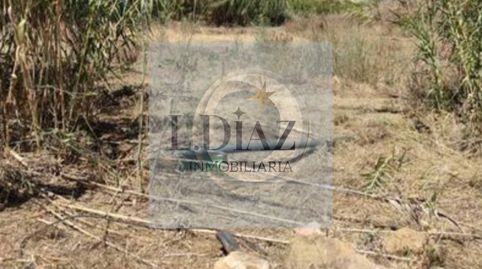 Foto 4 von Fabrikhallen zum Verkauf in Coín, Málaga