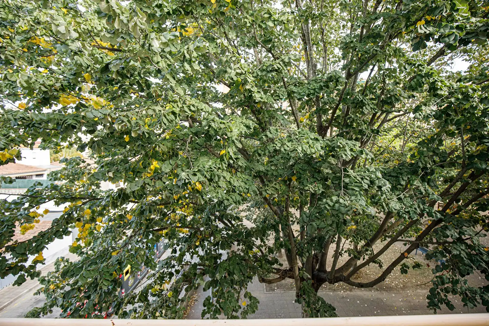 Jardí de Casa adosada en venda en Salt amb Calefacció, Terrassa i Traster