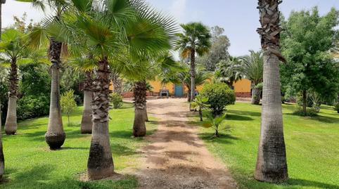 Photo 2 of Country house for sale in Montoro, Córdoba