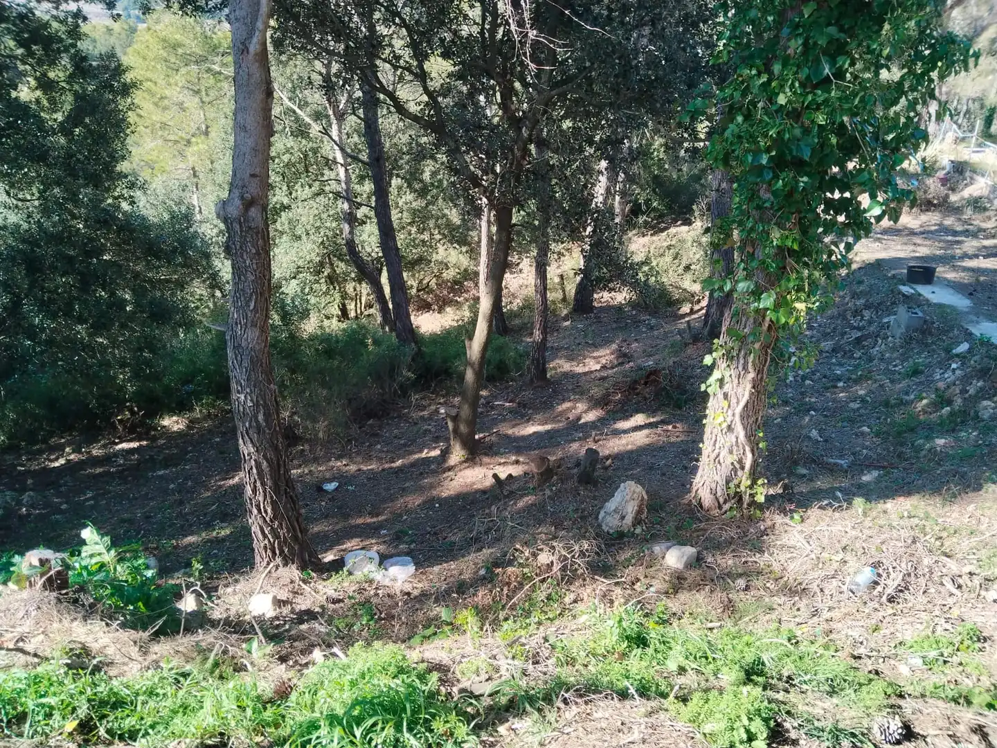 Wohnbaugrundstück zum Verkauf in Carrer Cirerer, imagen 3
