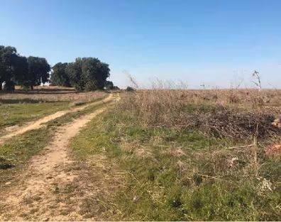 Terreno en Venta en Villanueva de Campeán