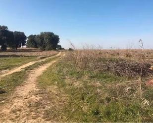 Land for sale in Villanueva de Campeán