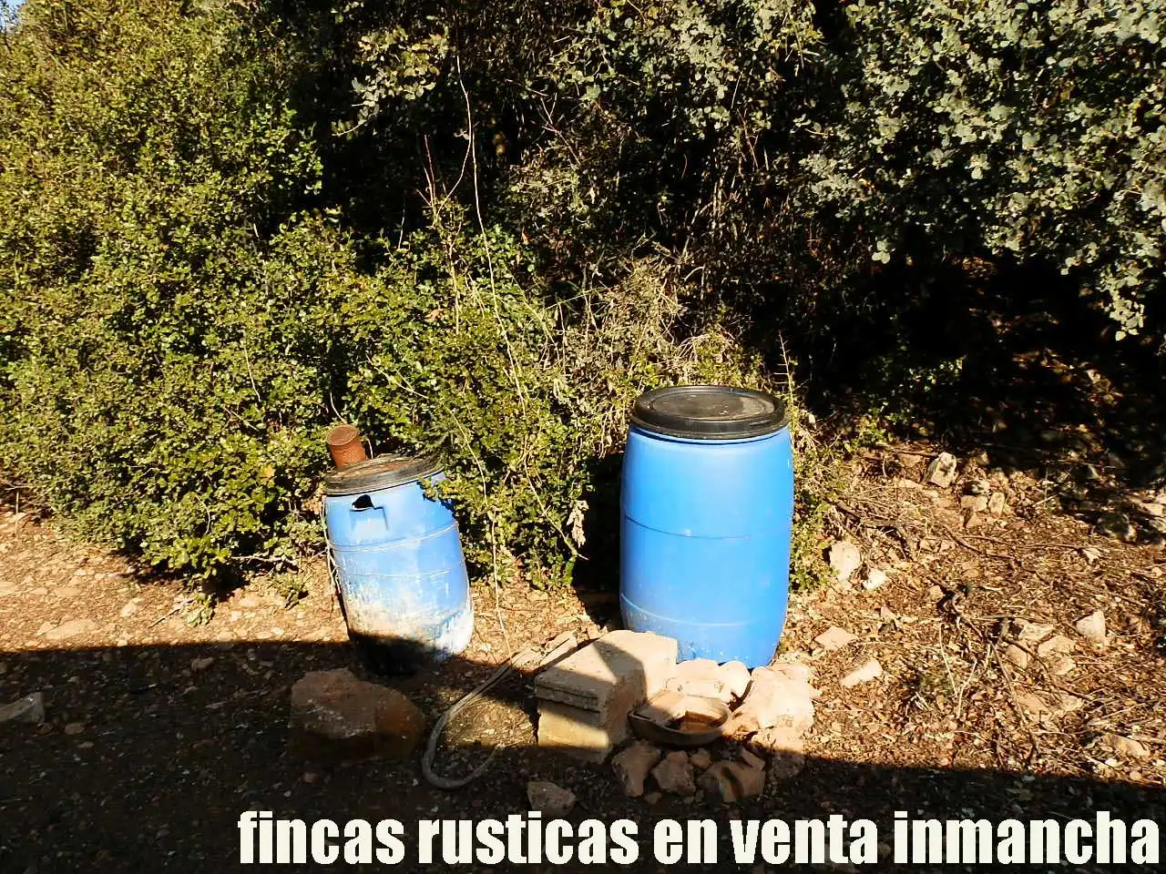 Terreno rustico in vendita a Ruidera, imagen 12