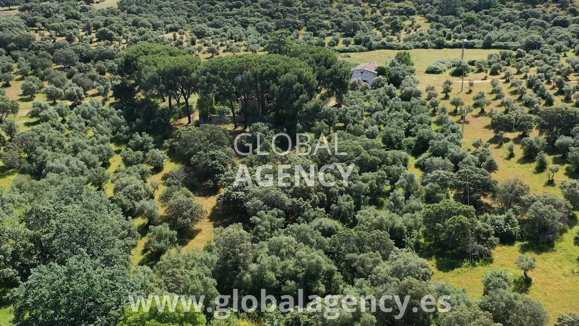 Terreni e lotti in vendita a Pasarón de la Vera, imagen 12