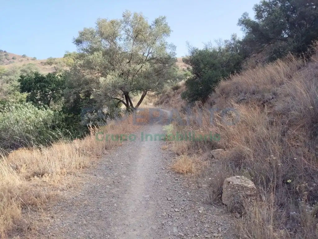 Terreno residencial en venta en Este, imagen 12