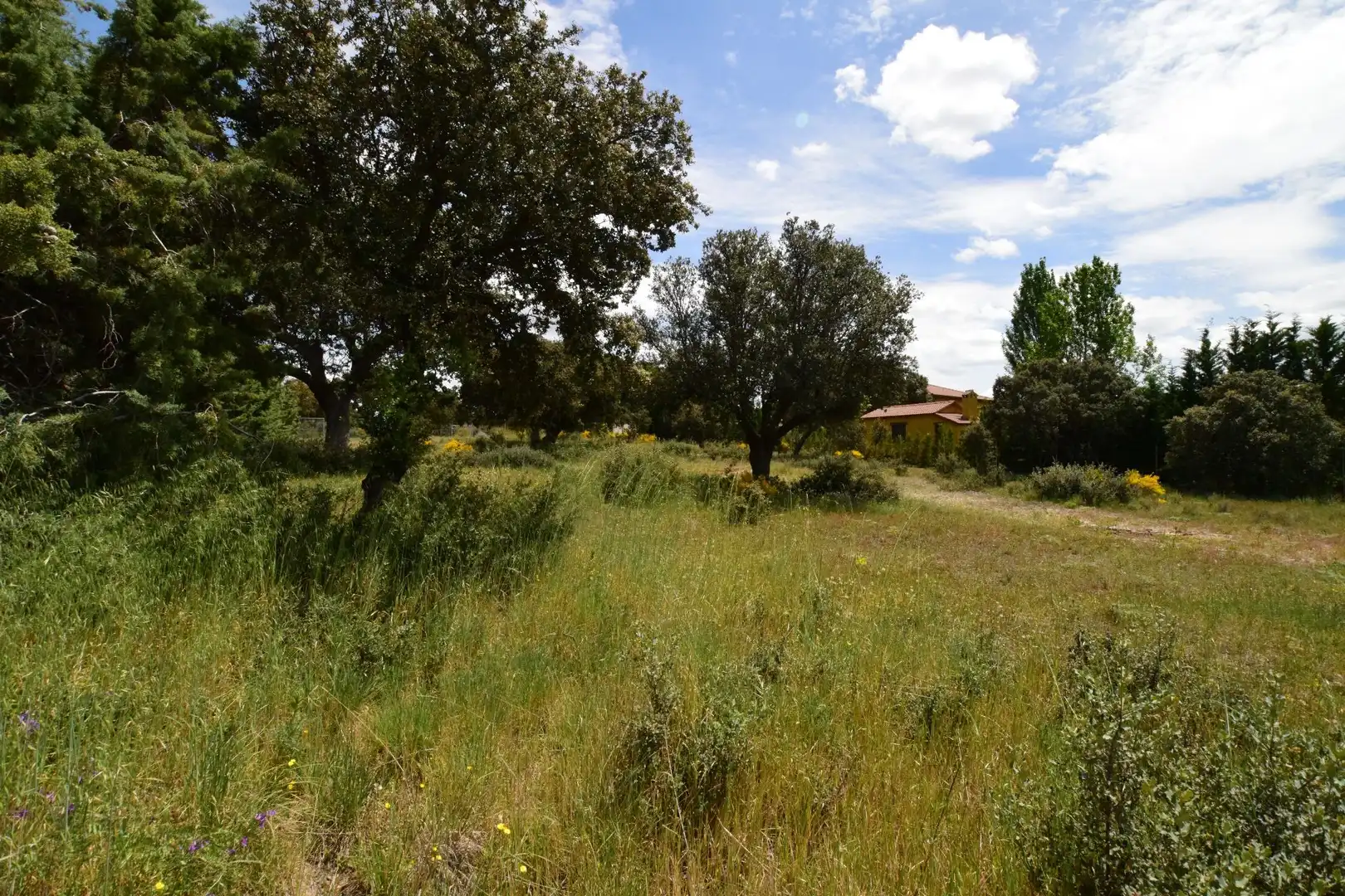 Terreni e lotti in vendita a DE LOS SAUCES, imagen 7