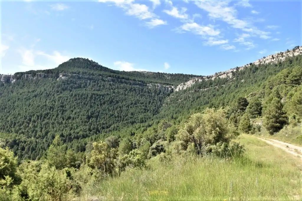 Terreni e lotti in vendita a Peñarroya de Tastavins, imagen 2