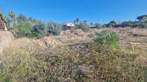 TERRENO EN VENTA ZONA MADRIGAL VILA-REAL, imatge 2