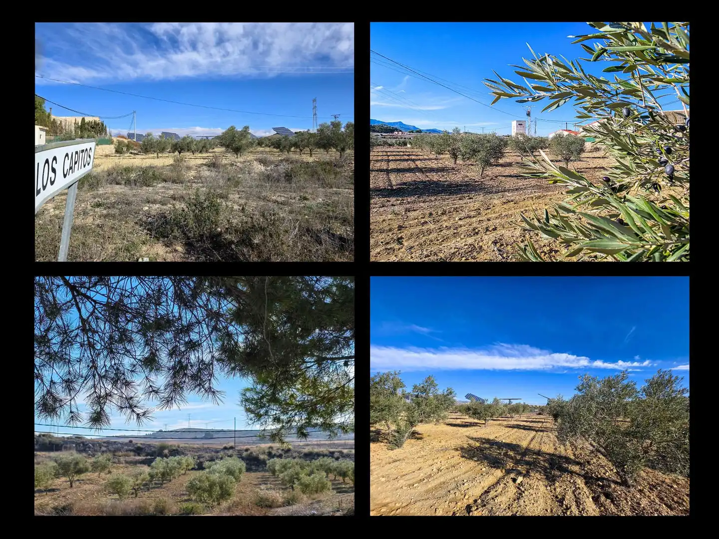 Adosado en venta en Jumilla, imagen 47