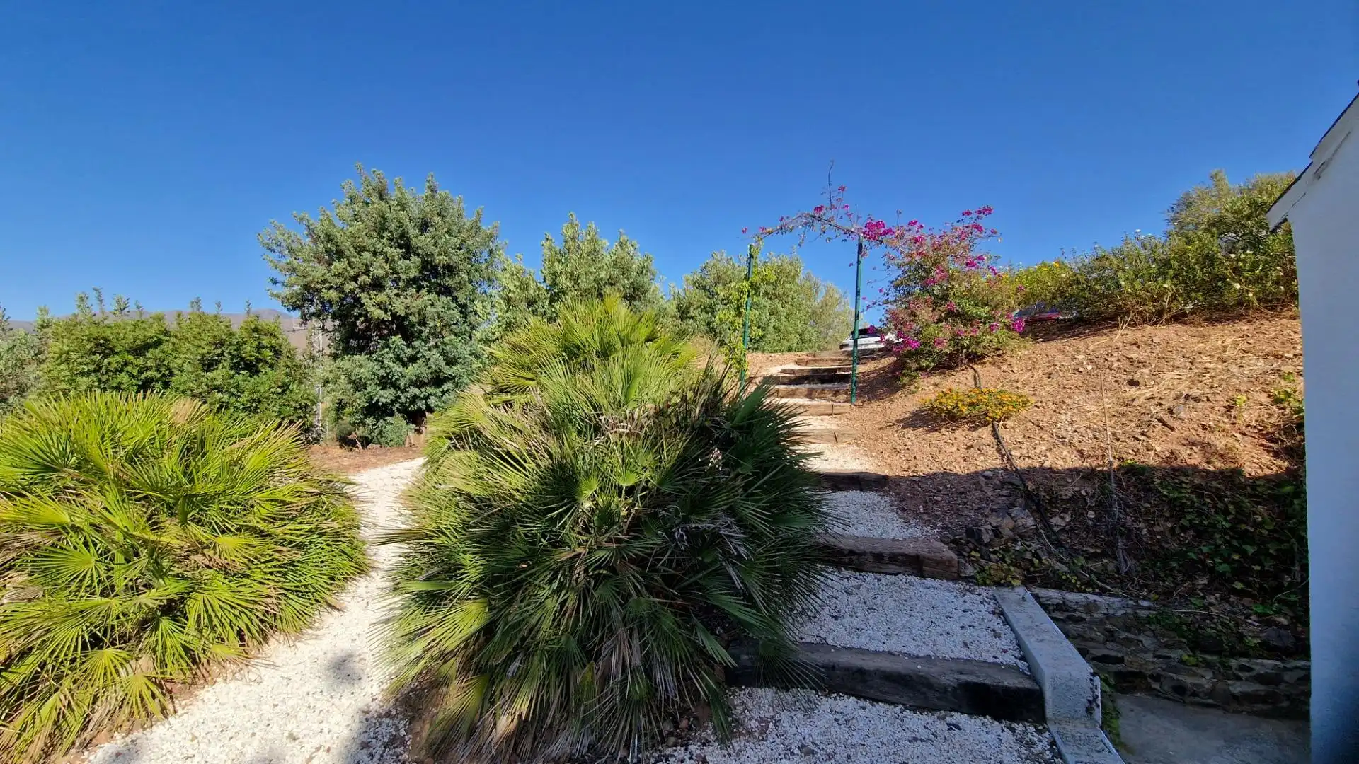 Jardí de Finca rústica en venda en Mijas amb Jardí privat i Alarma