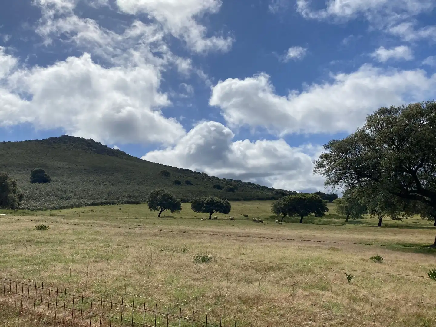 Terreno en venta en Deleitosa