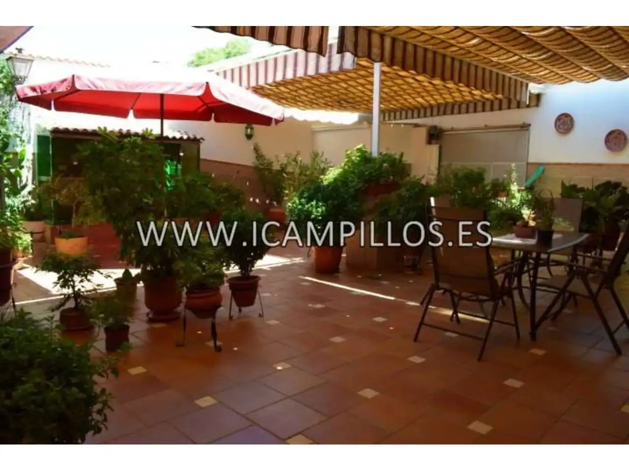 Maison avec jardin à vendre à Baena, imagen 3