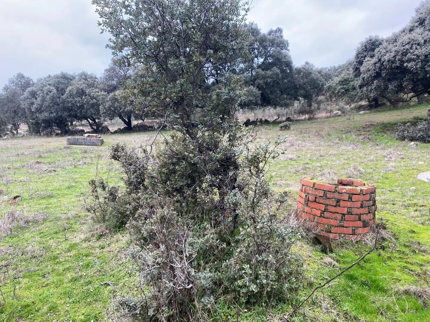 Terreni e lotti in vendita a Navamorcuende, imagen 19