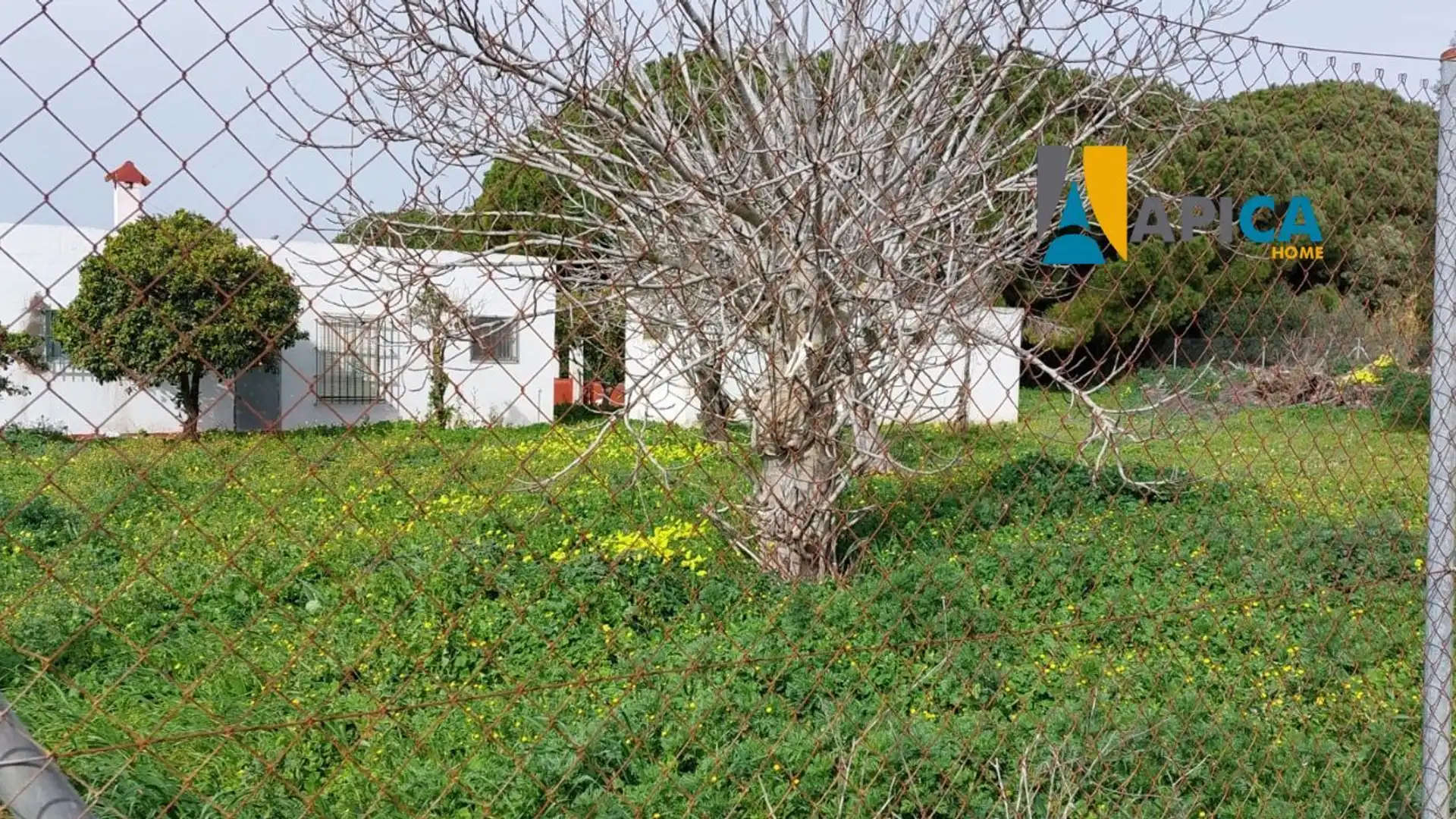 Houses for sale in Chiclana de la Frontera  with Storage room