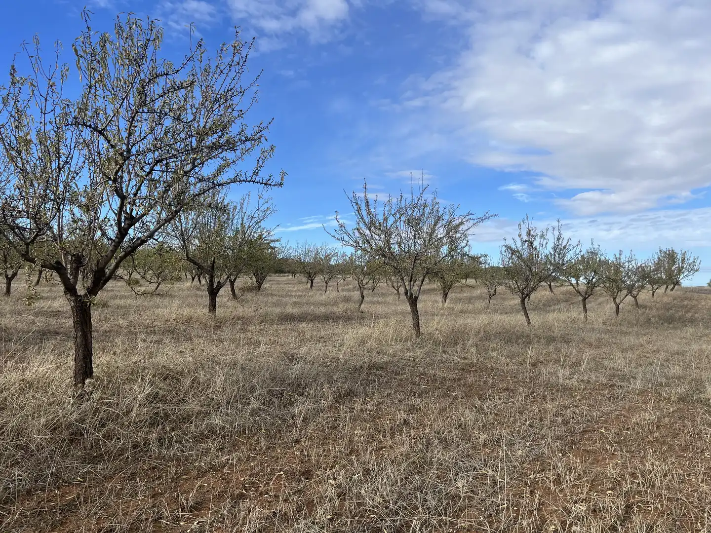 Rustikales Grundstück zum Verkauf in Avenida de Andalucía, imagen 2
