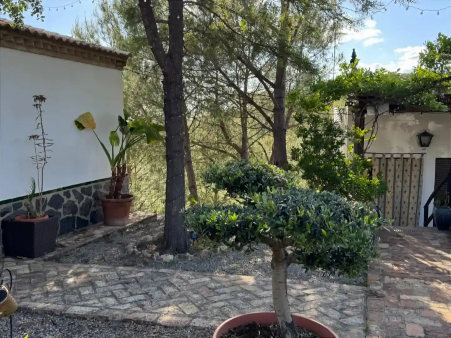 Jardín de Finca rústica en venta en El Madroño con Aire acondicionado, Jardín privado y Parquet