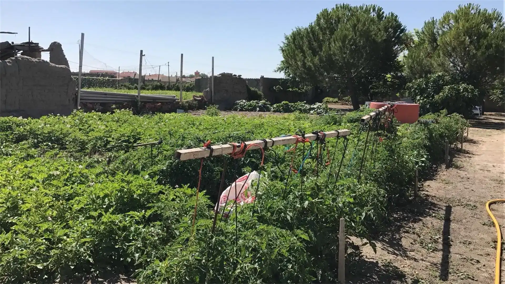 Jardín de Casa o chalet en venta en Fontiveros con Jardín privado, Amueblado y Horno
