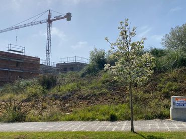 Terreno residenziale in vendita a SECTOR 102 (MAOÑO) 20