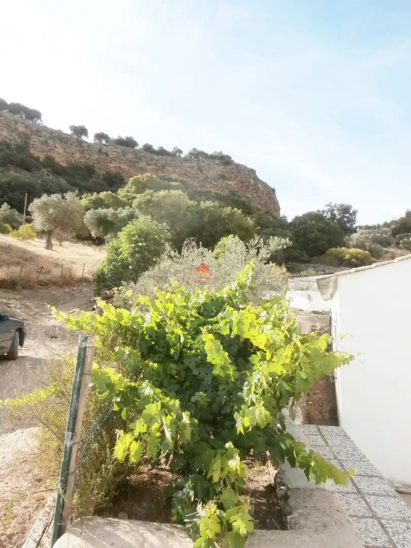 House for sale in Centro, imagen 21