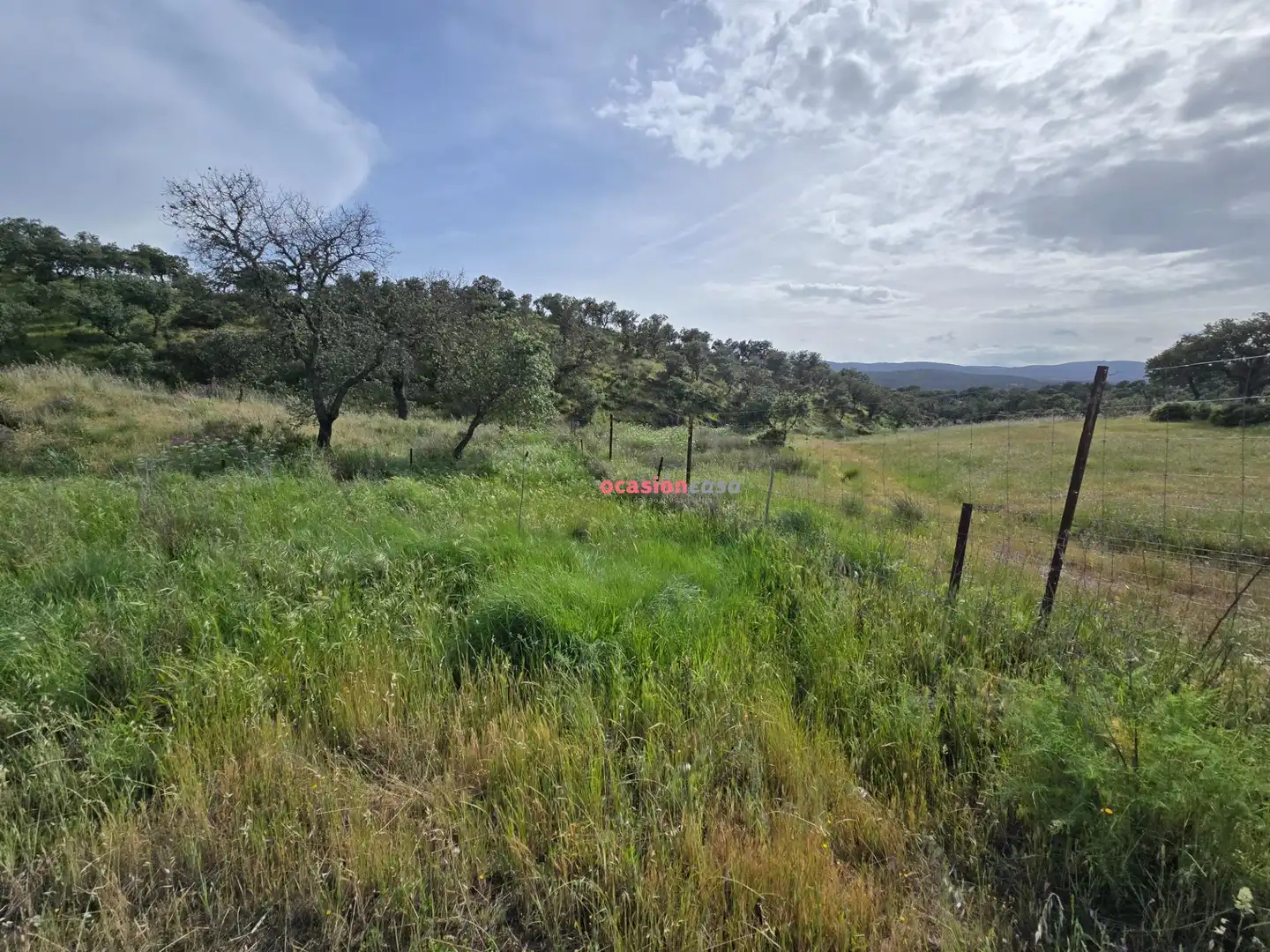 Casa o xalet en venda en Alcaracejos