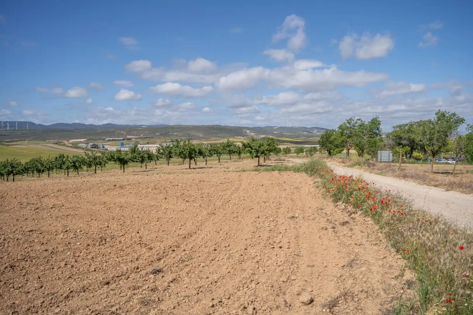 Terreny residencial en venda a Calle Calle Veleta, imagen 19