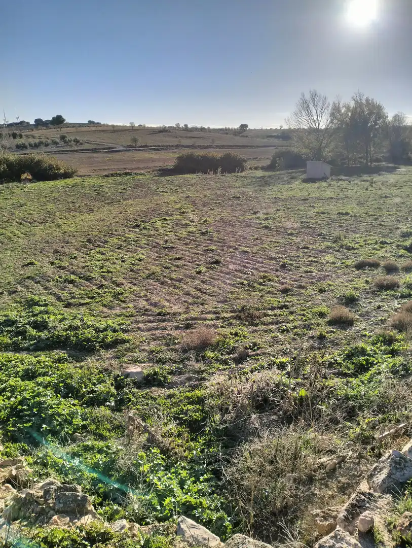 Terreno rustico in vendita a N/A, imagen 5
