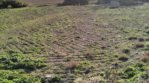 Huerta al lado Del Rio Corcoles, immagine 5