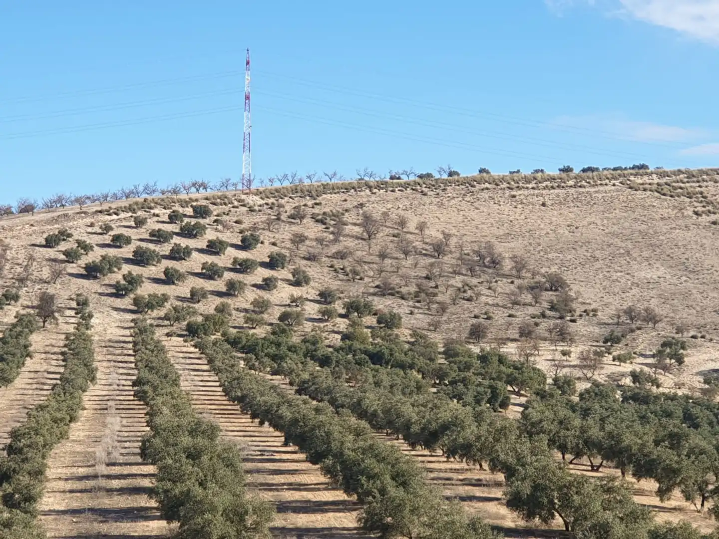 Terreni e lotti in vendita a Chimeneas