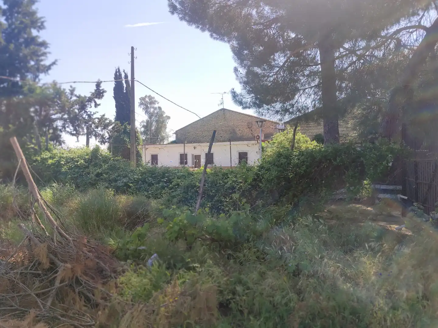 Nave industrial en venta en Utrera
