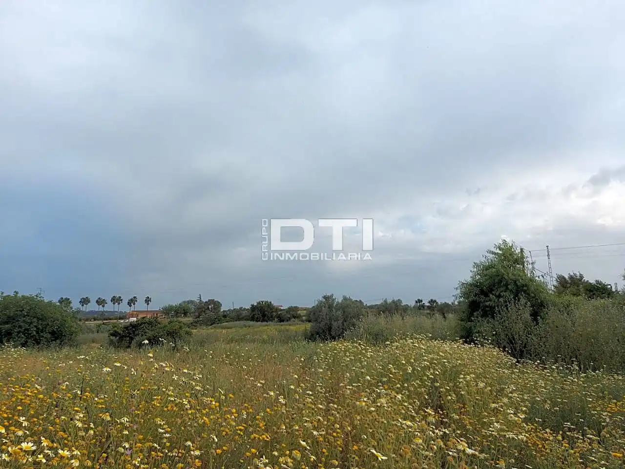 Land for sale in San Bartolomé de la Torre