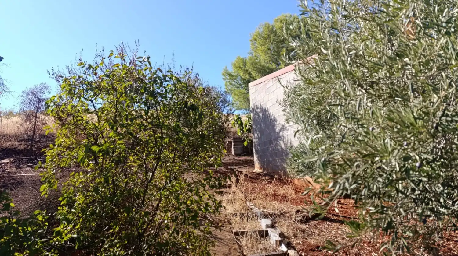 Casa rústica en venda a Valdepeñas, imagen 34