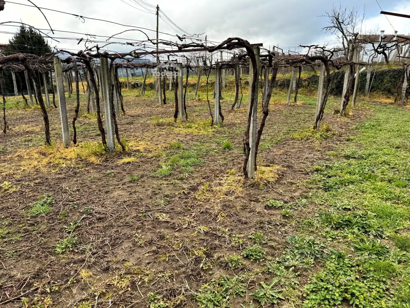 Rural land for sale in Arbo, imagen 22