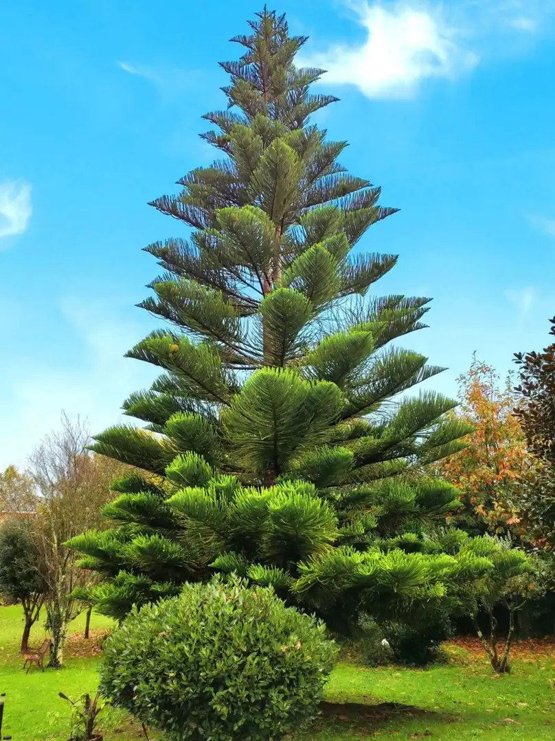 Xalet amb jardí en venda a Camino Sada Armuño, imagen 109