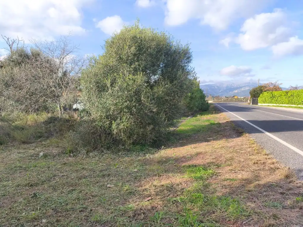 Country homes for sale in Poligono 2 Paraje 141 Sencelles, Zona Periurbana