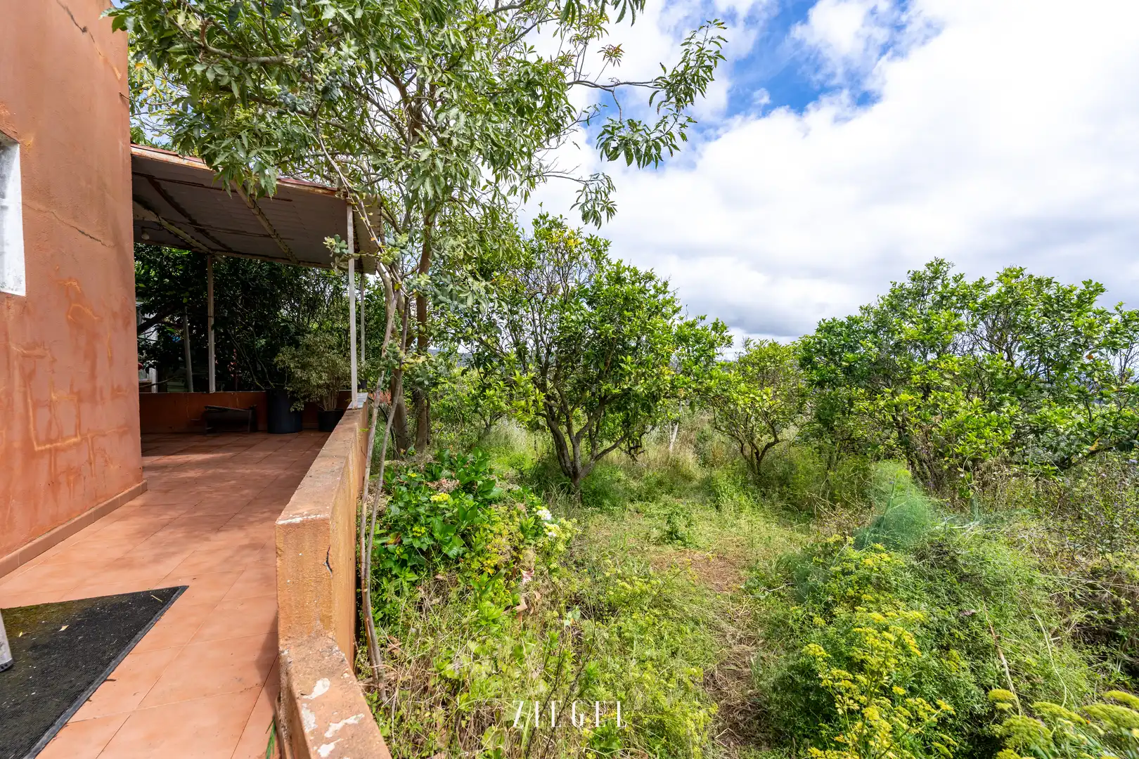 Jardí de Casa o xalet en venda en Santa Brígida amb Jardí privat, Terrassa i Balcó