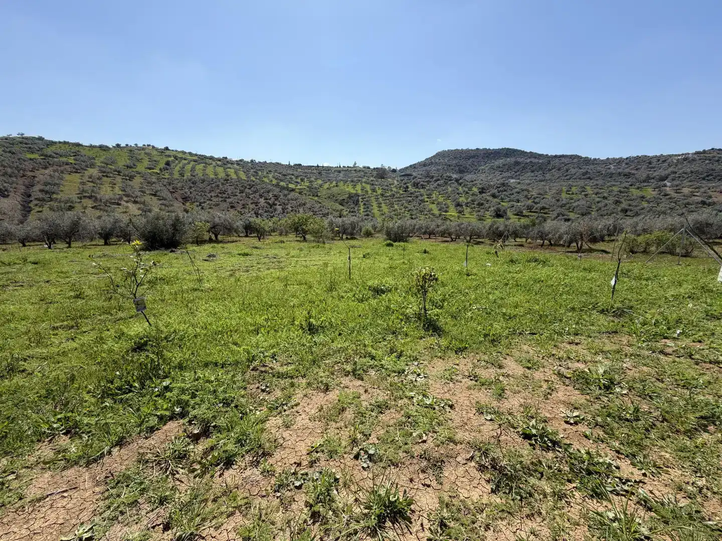 Country house zum Verkauf in Viñuela mit Schwimmbad