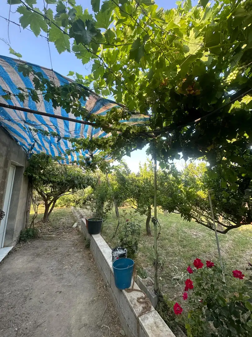 Jardín de Finca rústica en venta en Olula del Río