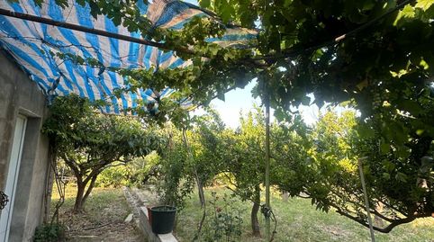 Foto 4 de Finca rústica en venta en Olula del Río, Almería