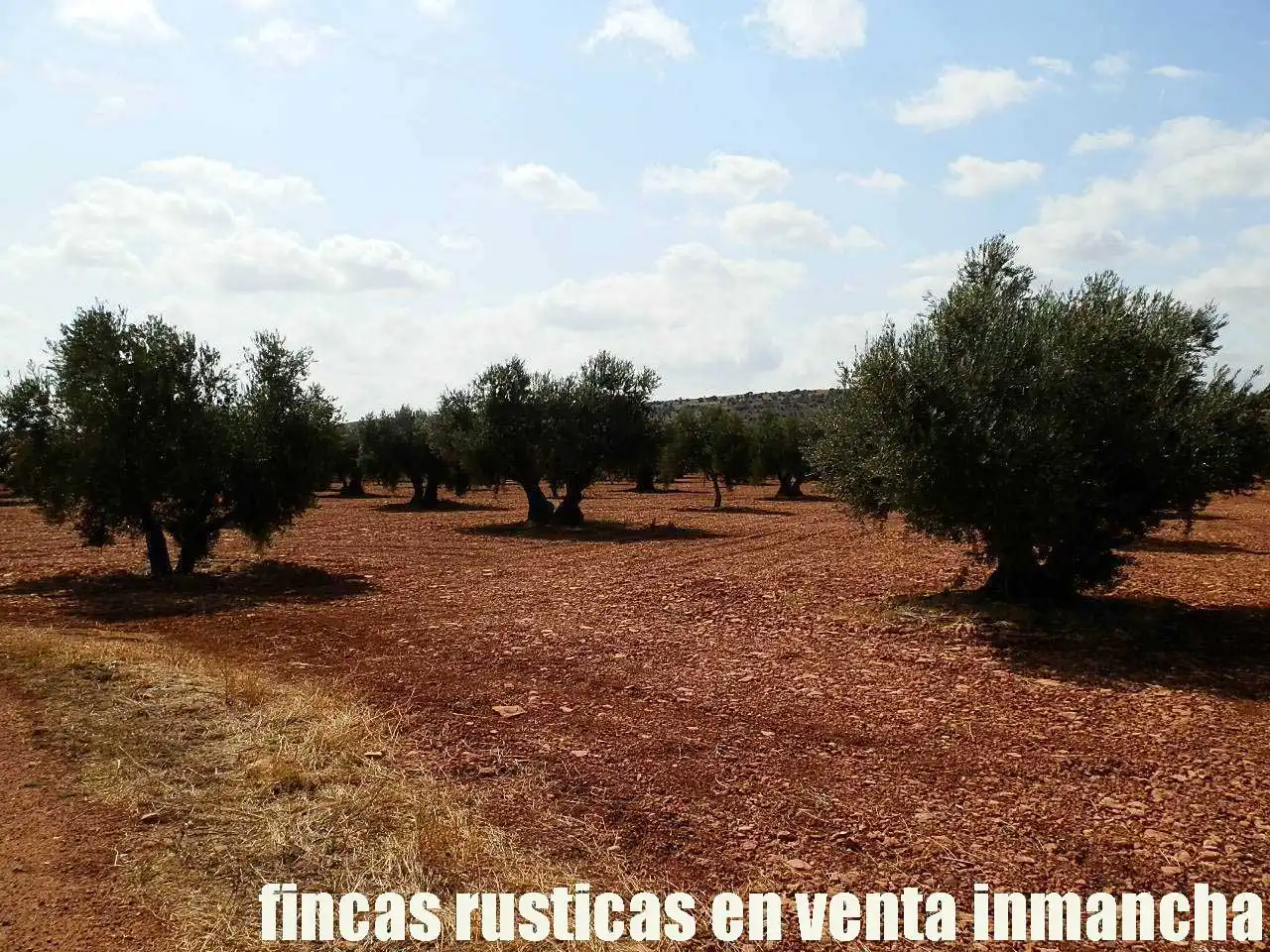 Terreno rústico en venta en Moral de Calatrava, imagen 19