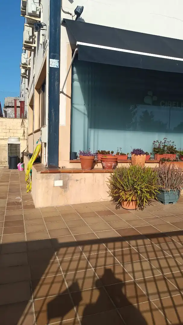 Gewerbefläche zur Miete in Calle Lonja, imagen 3