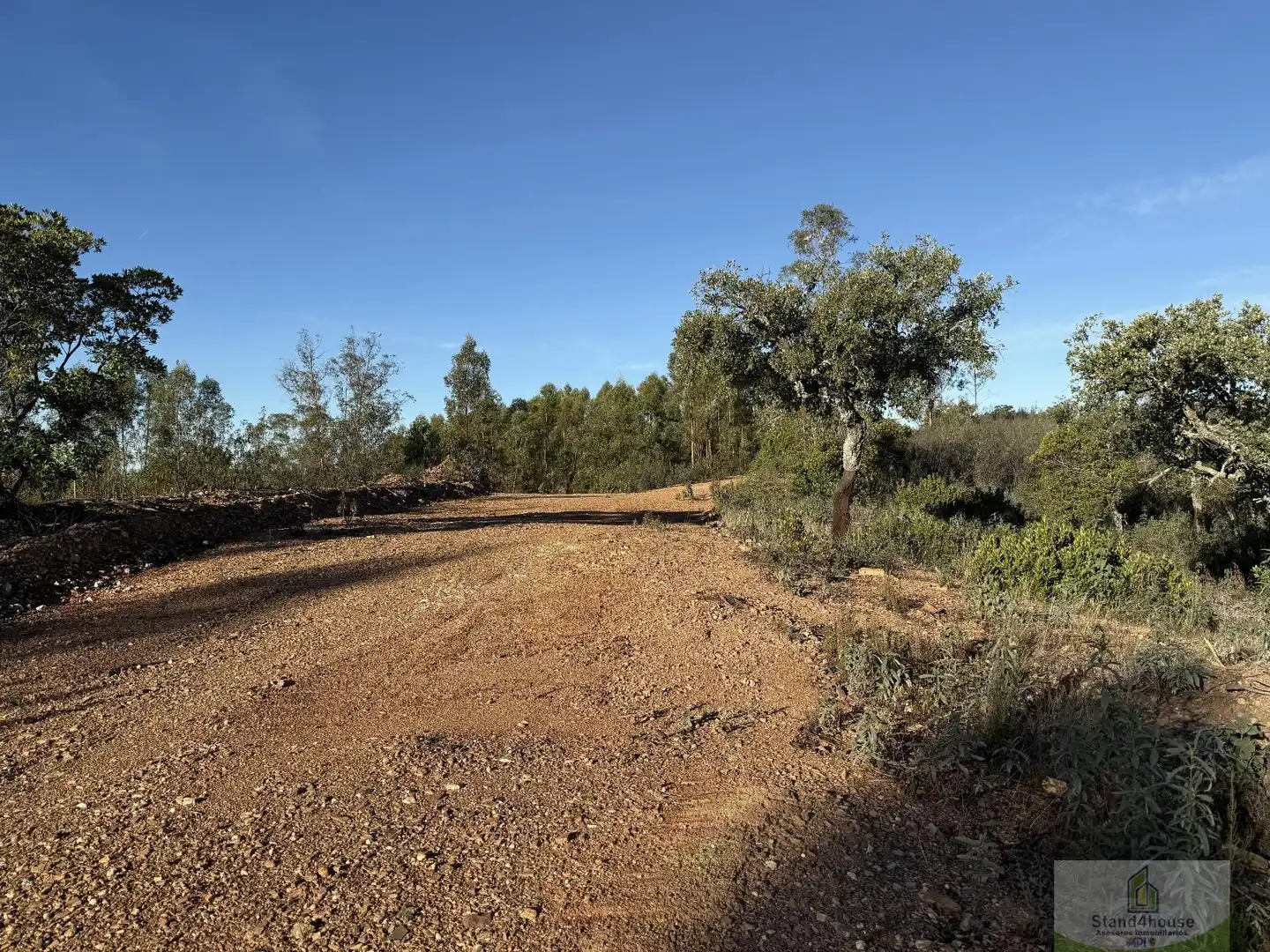 Finca rústica en venta en Berrocal