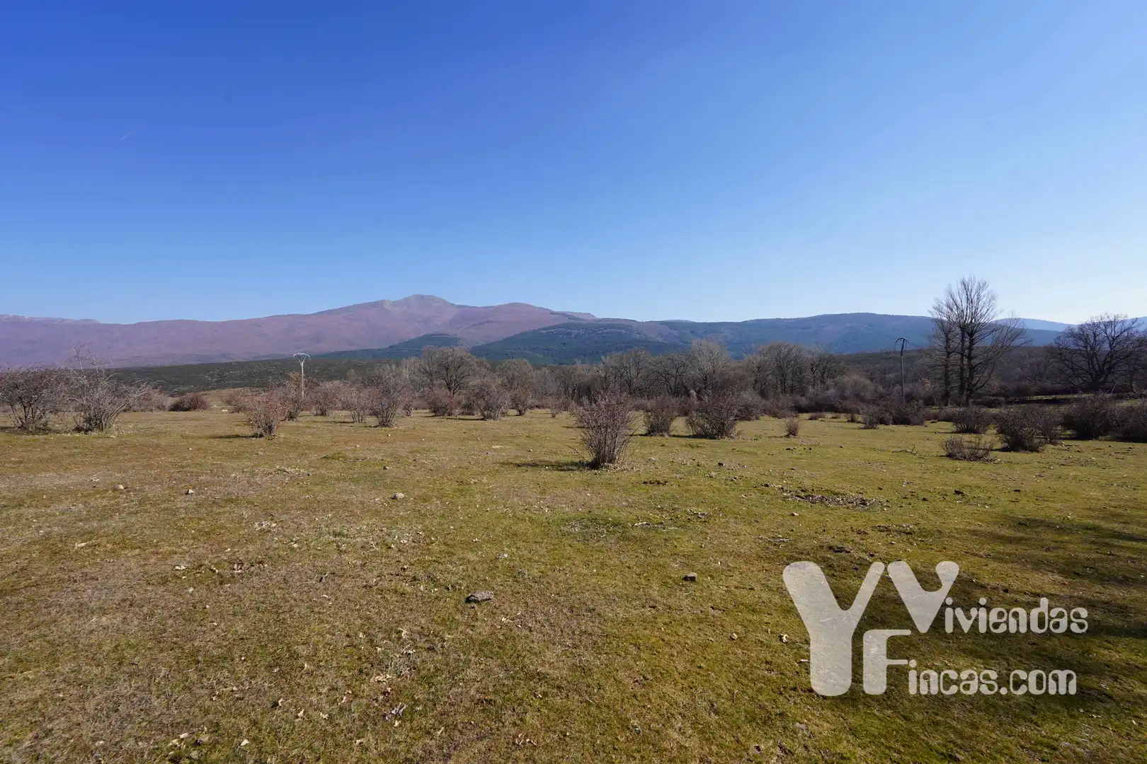 Terreno rústico en venta en Campillo de Ranas