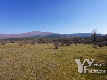 Terreno rústico en venta en Campillo de Ranas