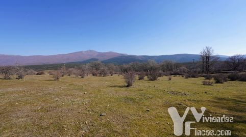 Campillo de Ranas (Guadalajara) lote de cinco fincas rústicas, buena oportunidad para invertir.