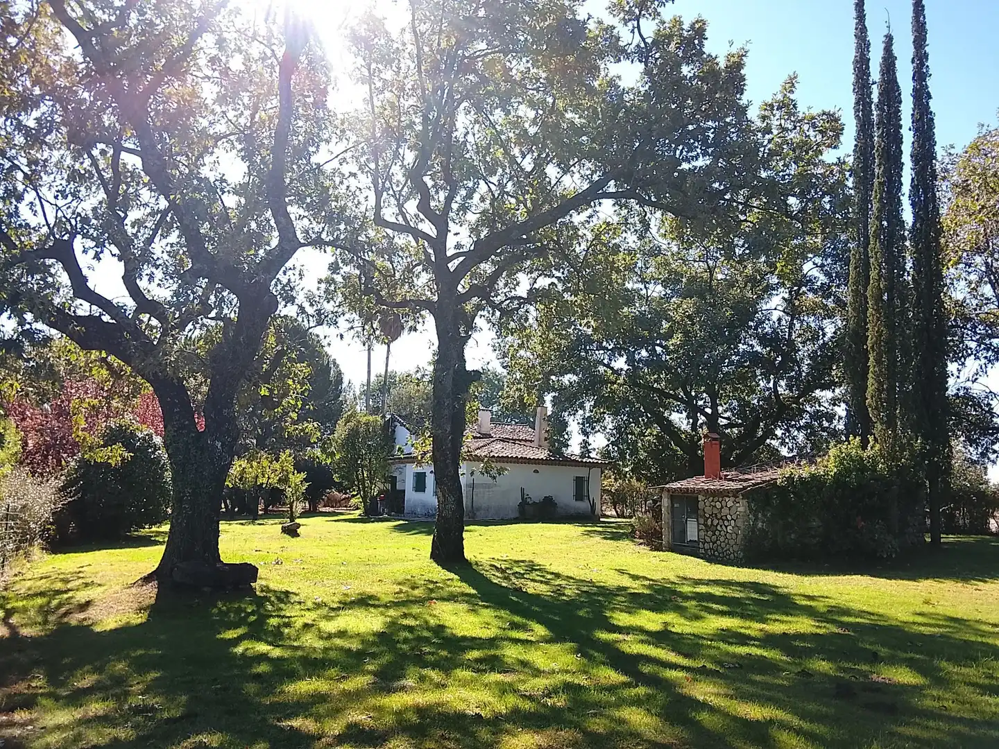 Haus mit Garten zum Verkauf in Madrigal de la Vera, imagen 99