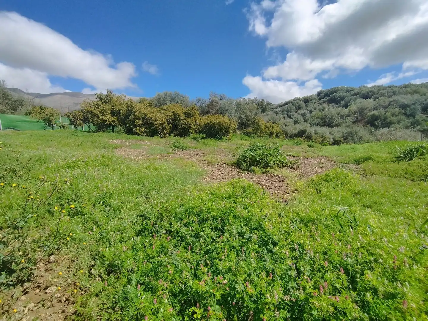 Habitatge amb terrassa en venda a Carretera Torre del Mar, imagen 41