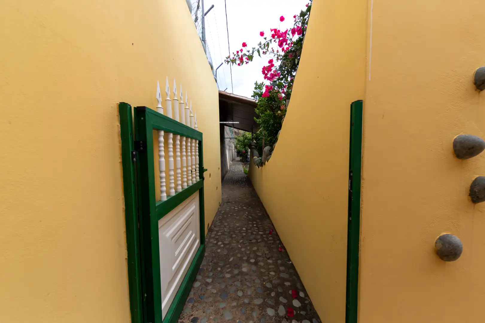 Exterior view of Country homes for sale in Santa Cruz de Tenerife  with Private garden, Terrace and Furnished