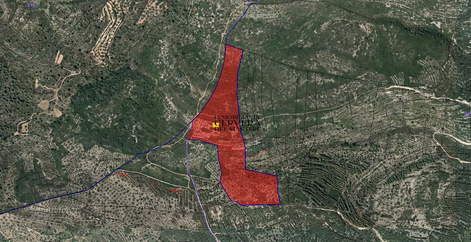 Terreny rústic en venda a Cervera del Maestre, imagen 36