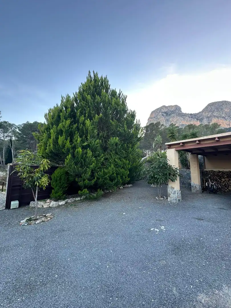 Villa zum Verkauf in La Alberca, imagen 24