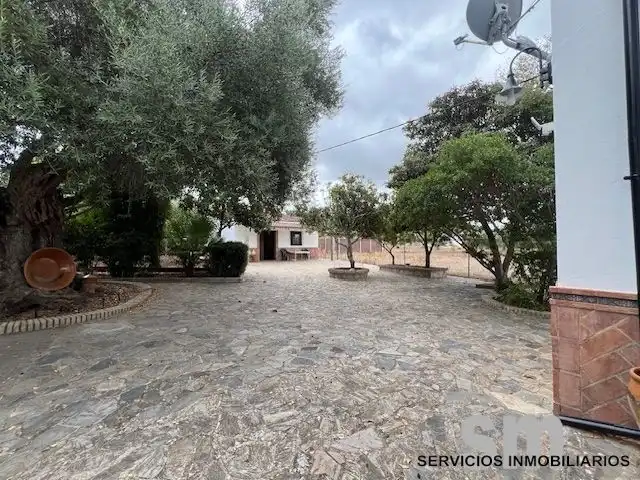 Terreno rustico in vendita a Ubrique, imagen 18